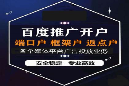 SEM推广优化策略：成功案例解析